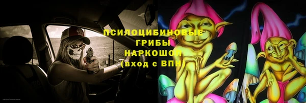 амф Богородск