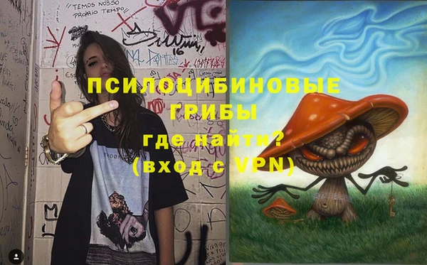 амф Богородск