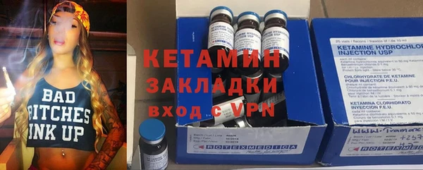 индика Богданович