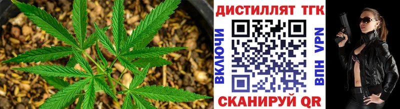 где найти   Казань  ТГК вейп с тгк 
